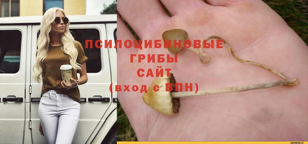 кокс Богородицк