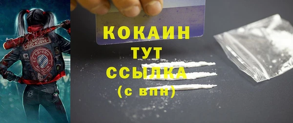 стаф Богородск