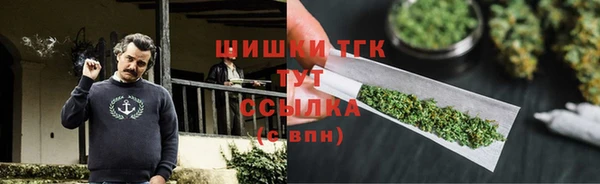 стаф Богородск