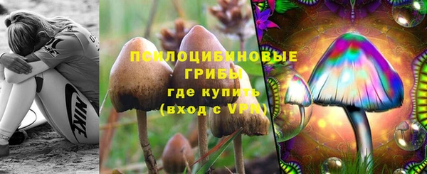 стаф Богородск