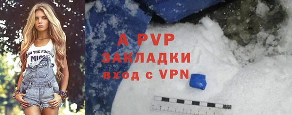 кокс Богородицк