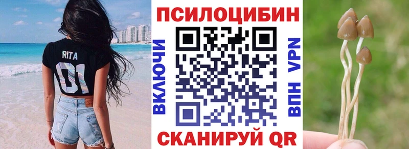 Псилоцибиновые грибы мицелий  Новомичуринск 